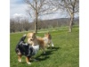 Whoopie2